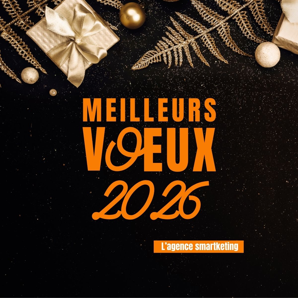 Vœux 2026
